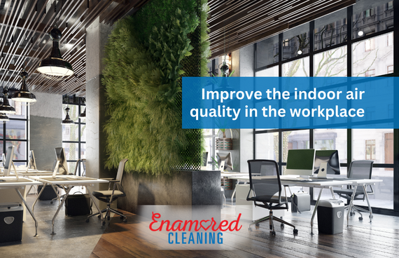 Cleaner office spaces can improve the indoor air quality in workplaces
